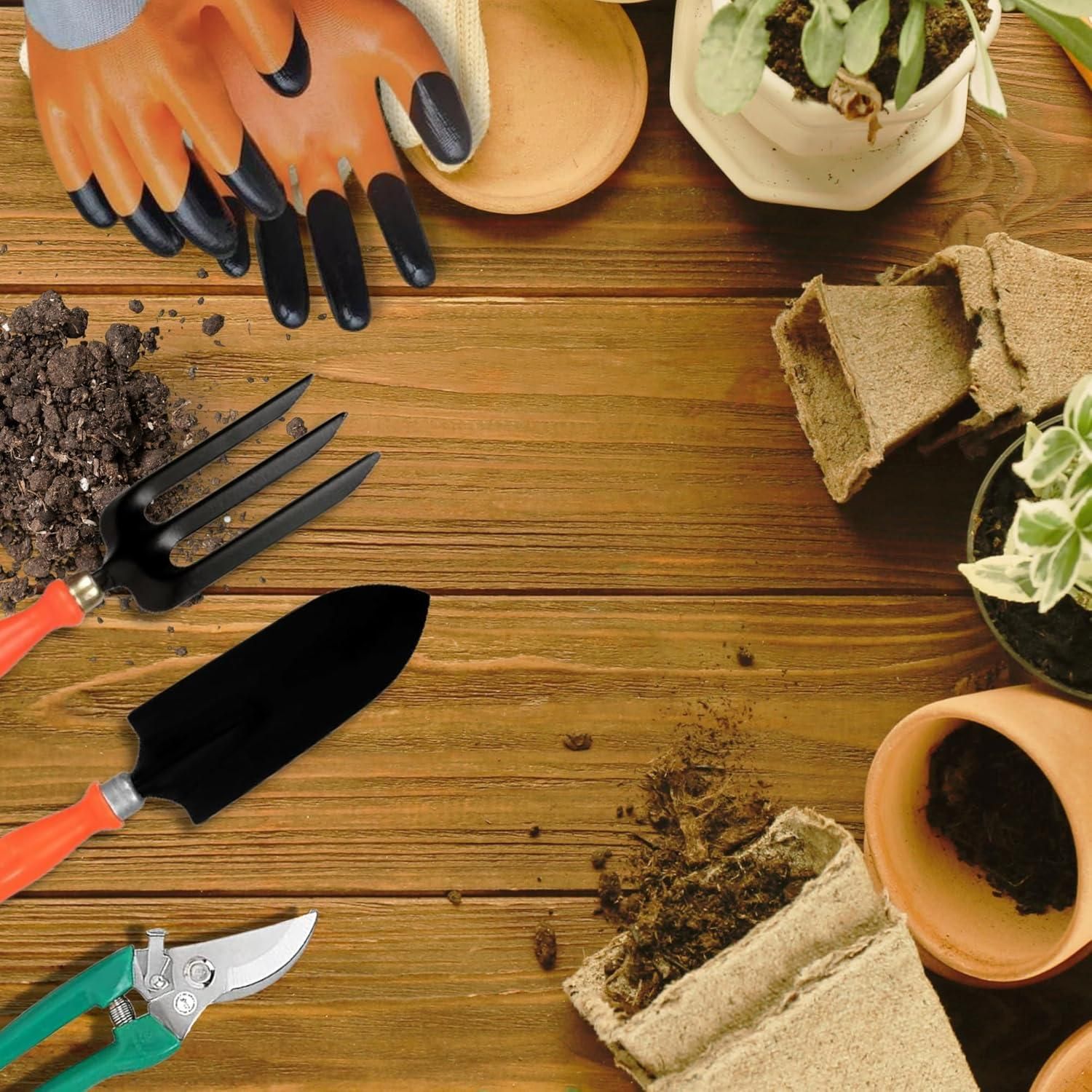 6 in 1 Garden Tools with Box – Complete Gardening Kit