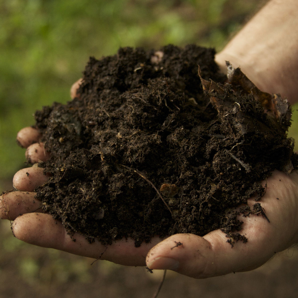 Soil & Manure