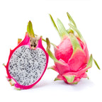 Grafted Dragon Fruit Plant.