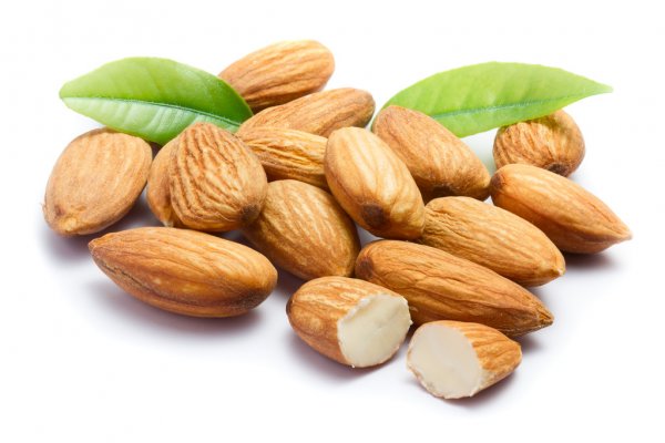 Grafted Almond Fruit Plant.