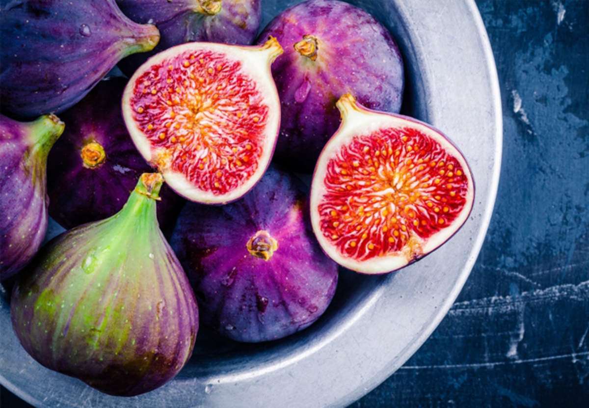 Grafted Anjeer Fig Fruit Plant.