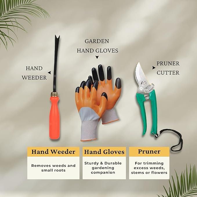 6 in 1 Garden Tools with Box – Complete Gardening Kit