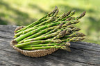Asparagus Seed Balls - Just Throw & Grow
