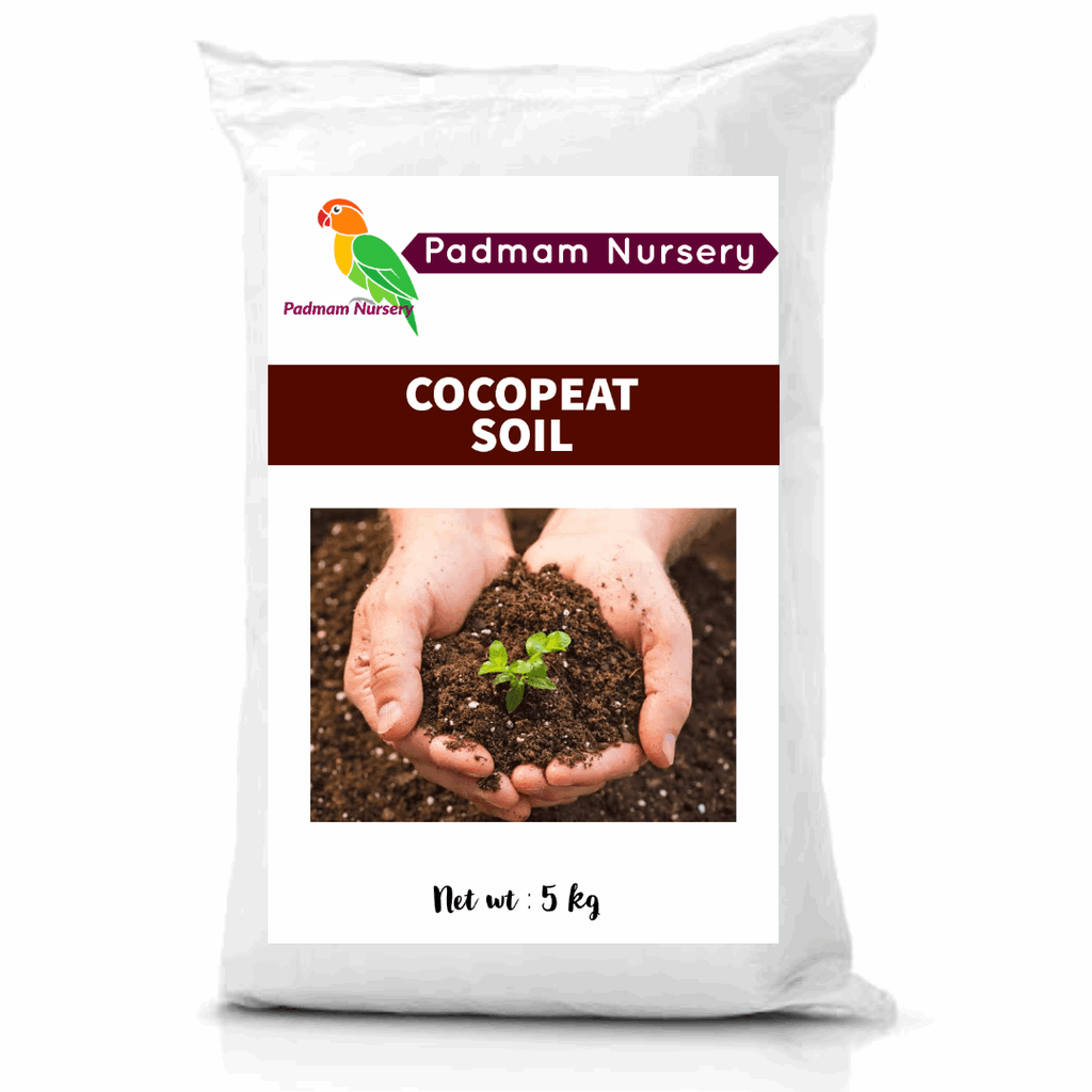 Cocopeat for Plants.
