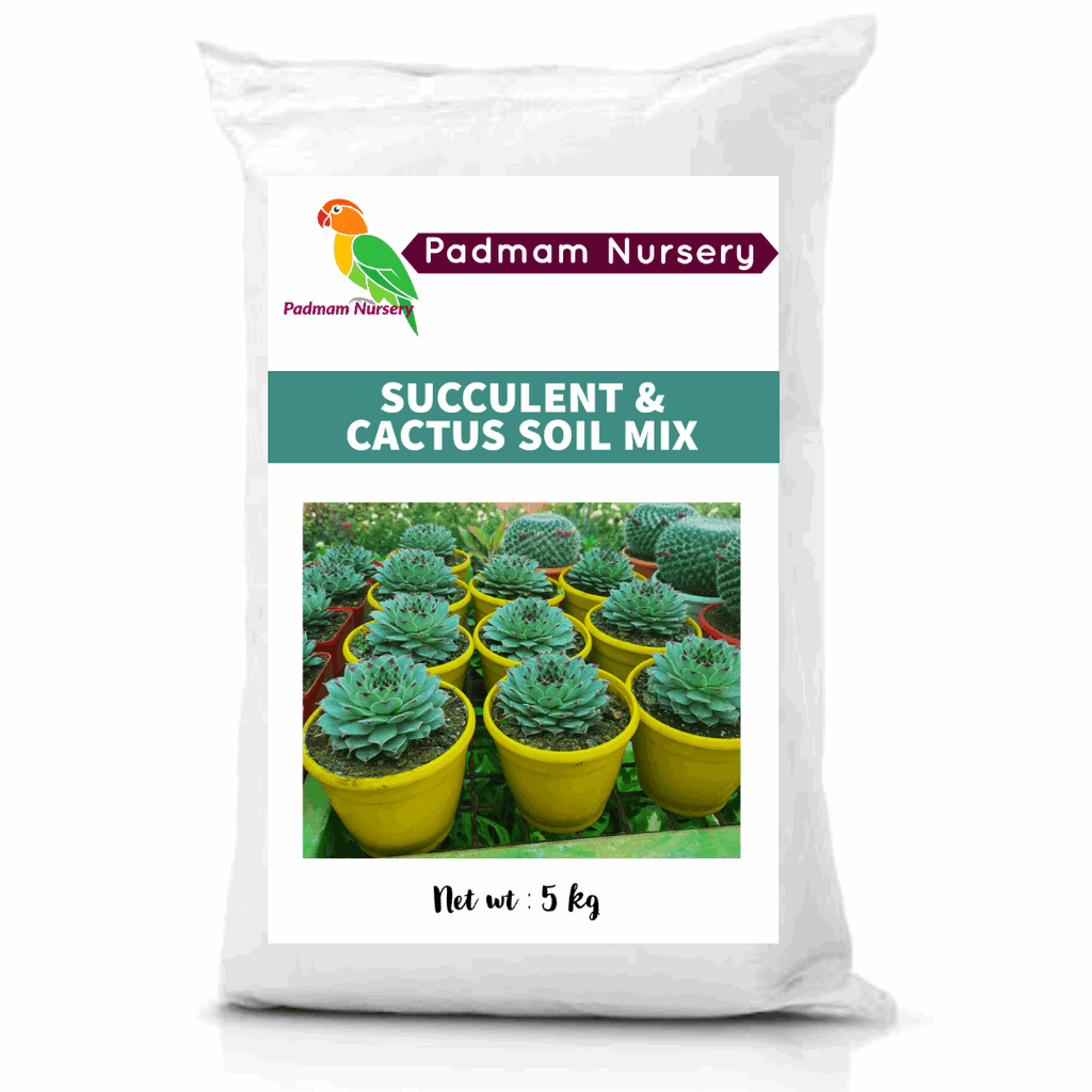 Succulent & Cactus Soil Mix for Plants.