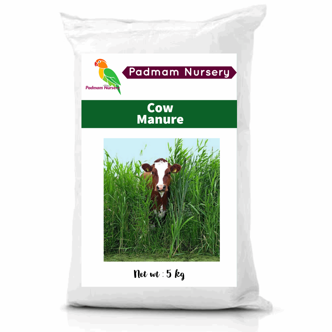 Cow Manure For Plants.