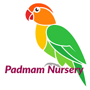Padmam Nursery