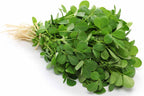 Fenugreek Leaves - Methi Seed Balls - Just Throw & Grow