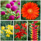 Tropical Statement Flowers Pack