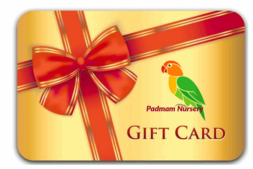 Padmam Nursery Gift Card.