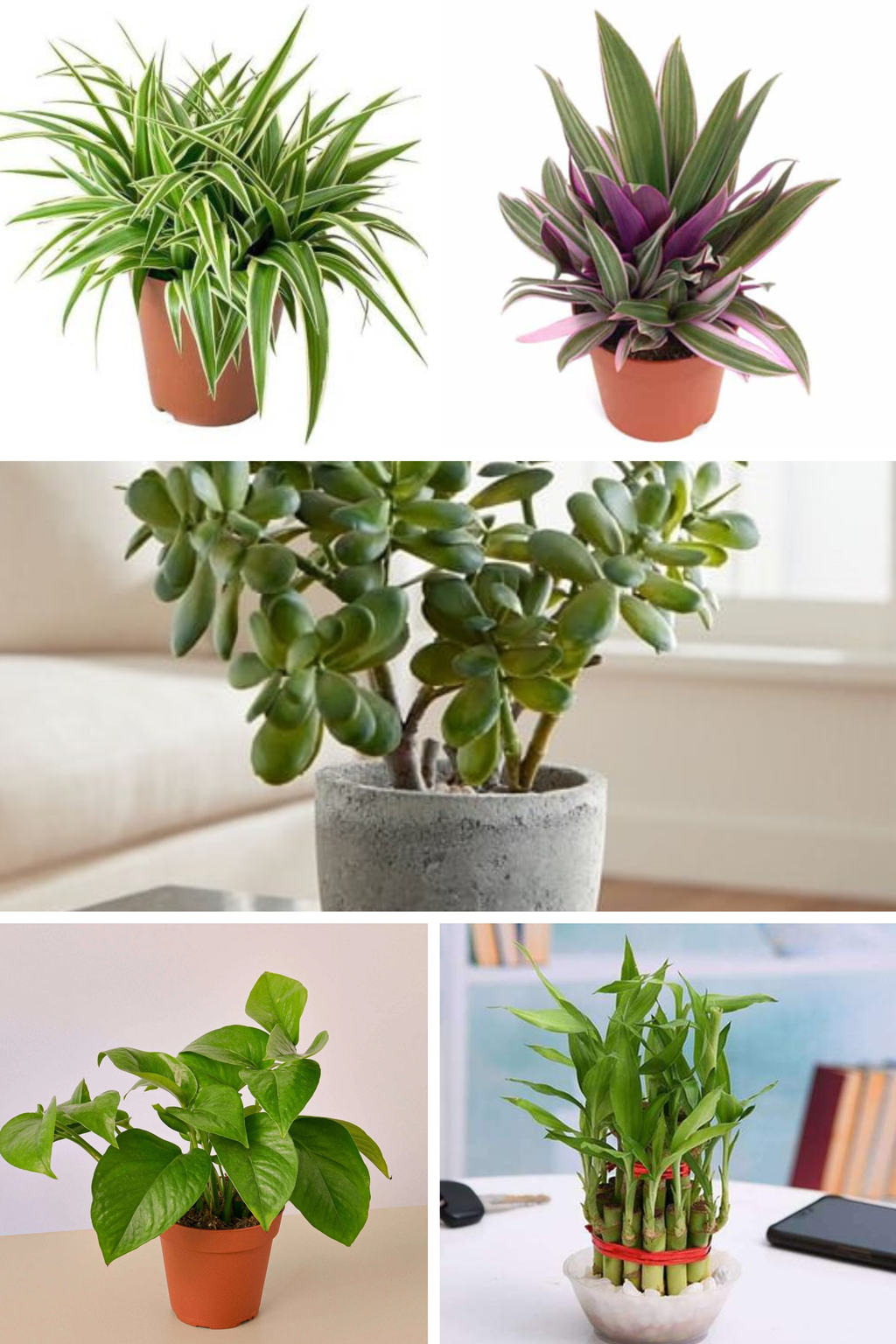 Positive Energy Indoor Pack