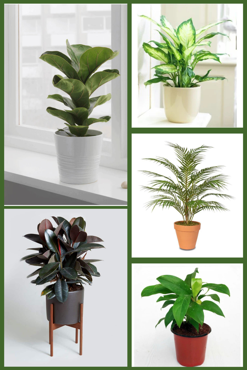 Premium Indoor Decor Set