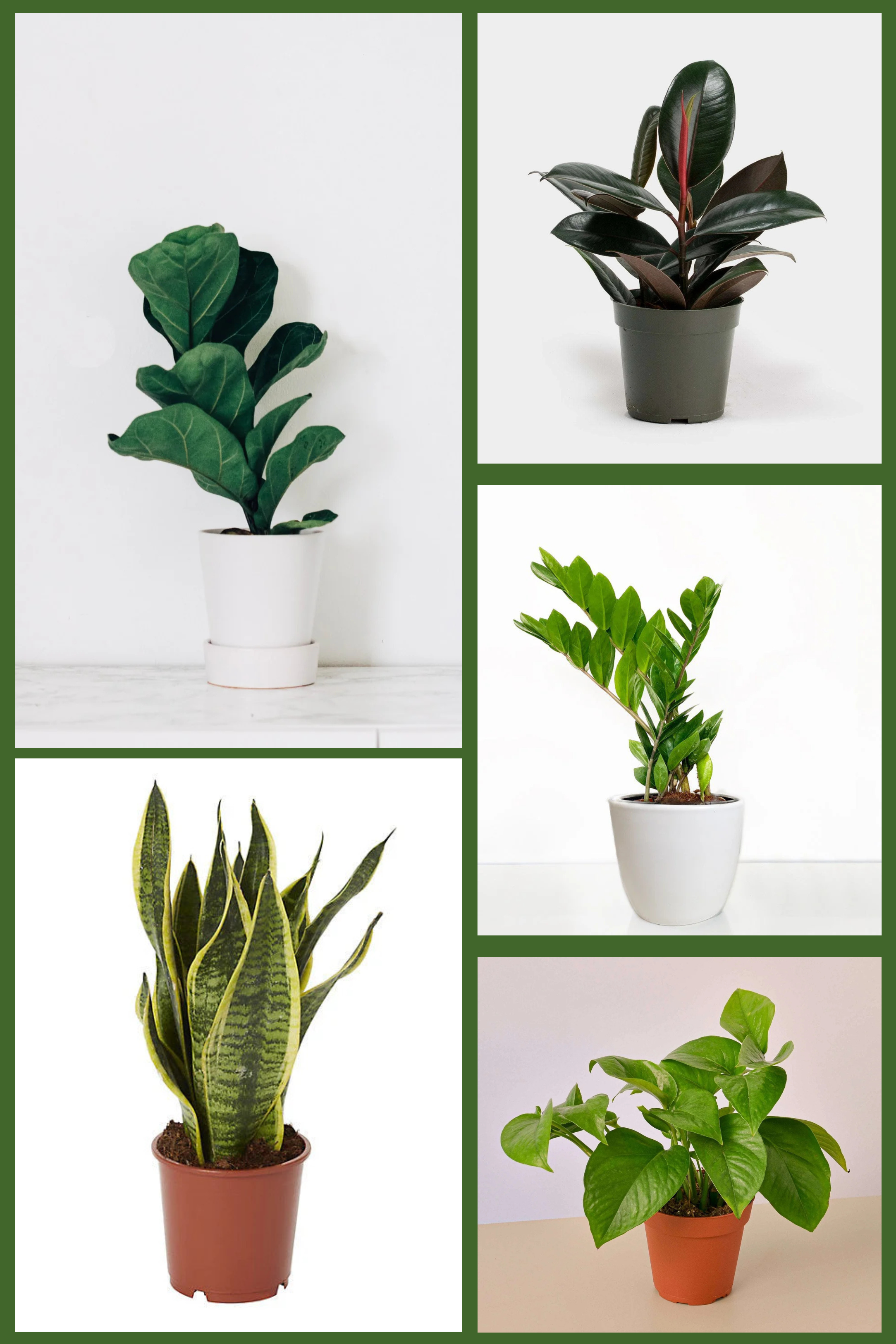 Modern Living Indoor Set