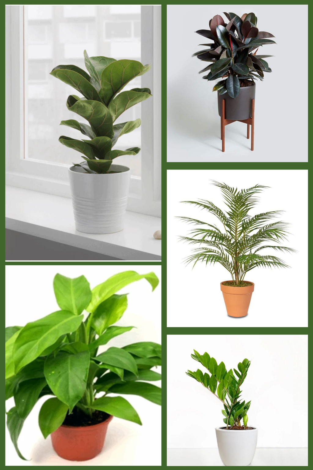 Large Indoor Statement Combo