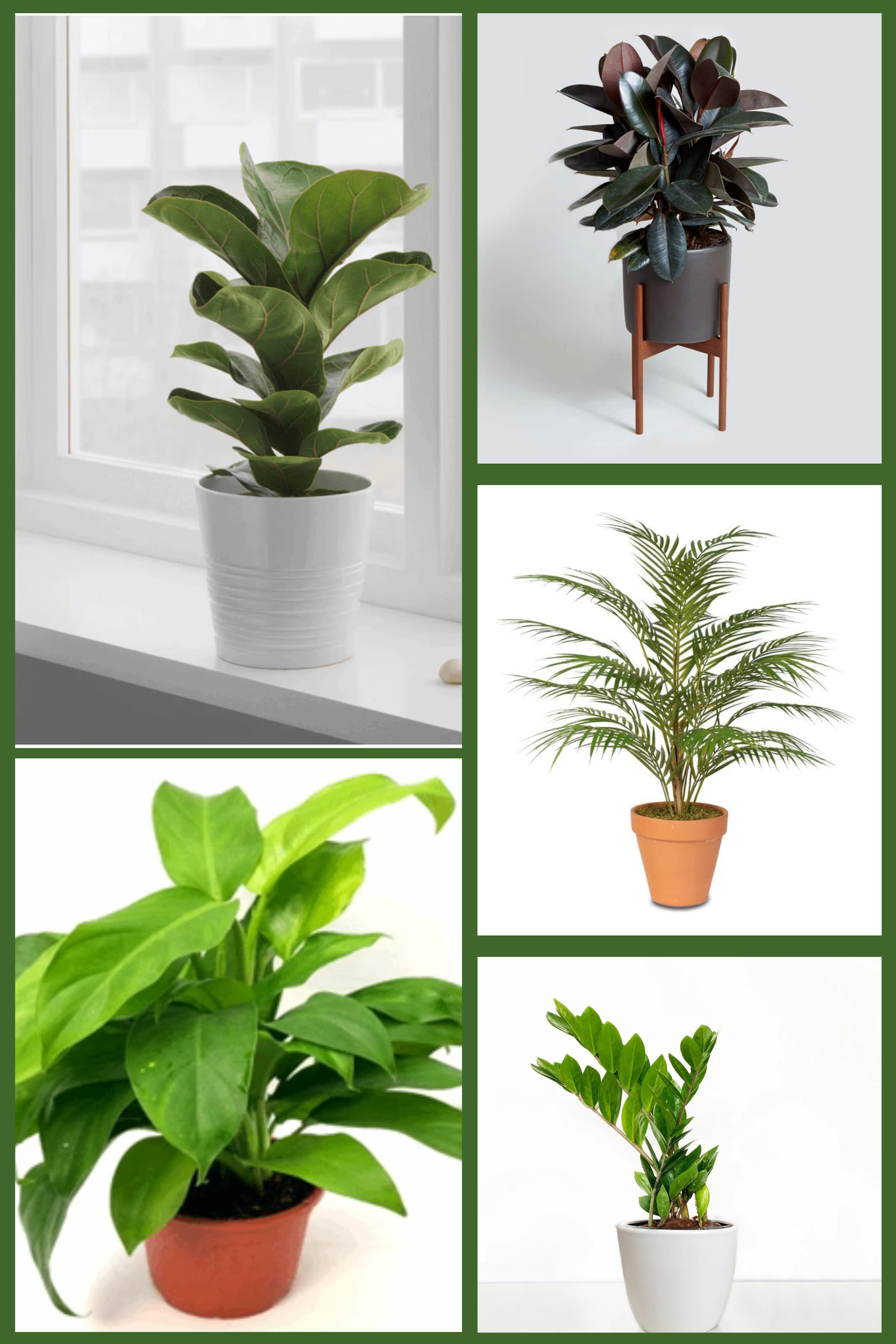 Large Indoor Statement Combo