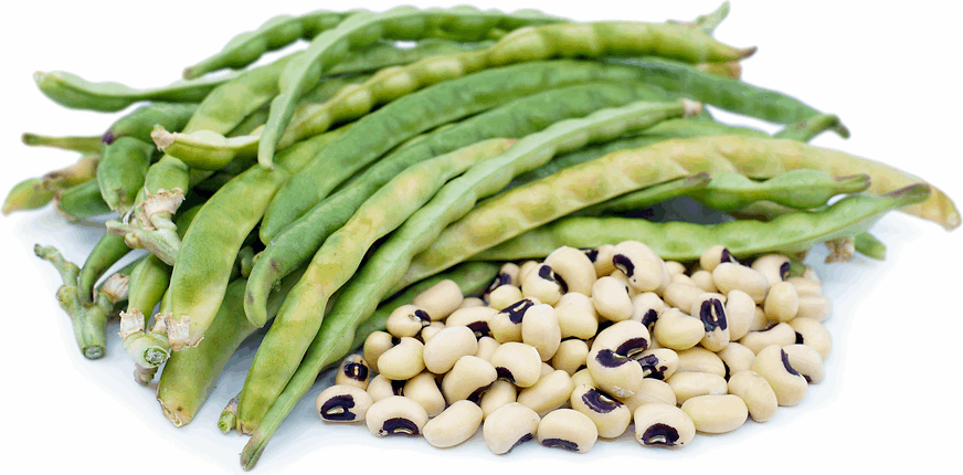 Cowpea Vegetable Seed Balls.