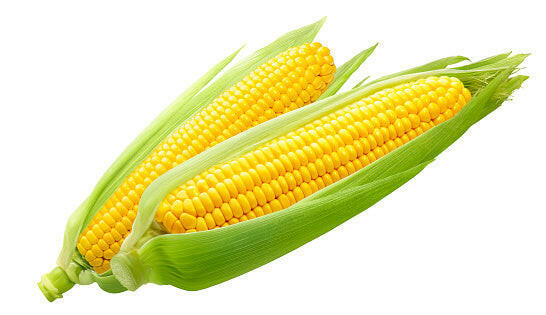 Sweet Corn Vegetable Seed Balls.