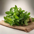 Mint Leaves - Mint Seed Balls - Just Throw & Grow