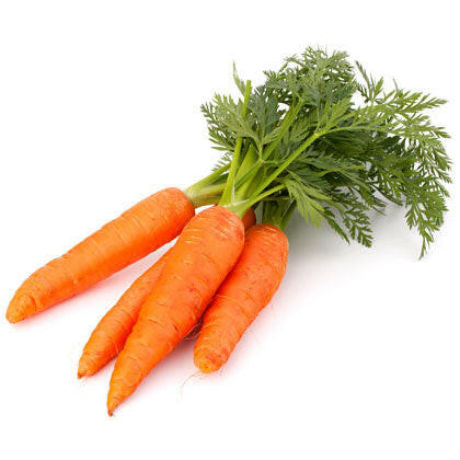 Carrot Vegetable Seed Balls.