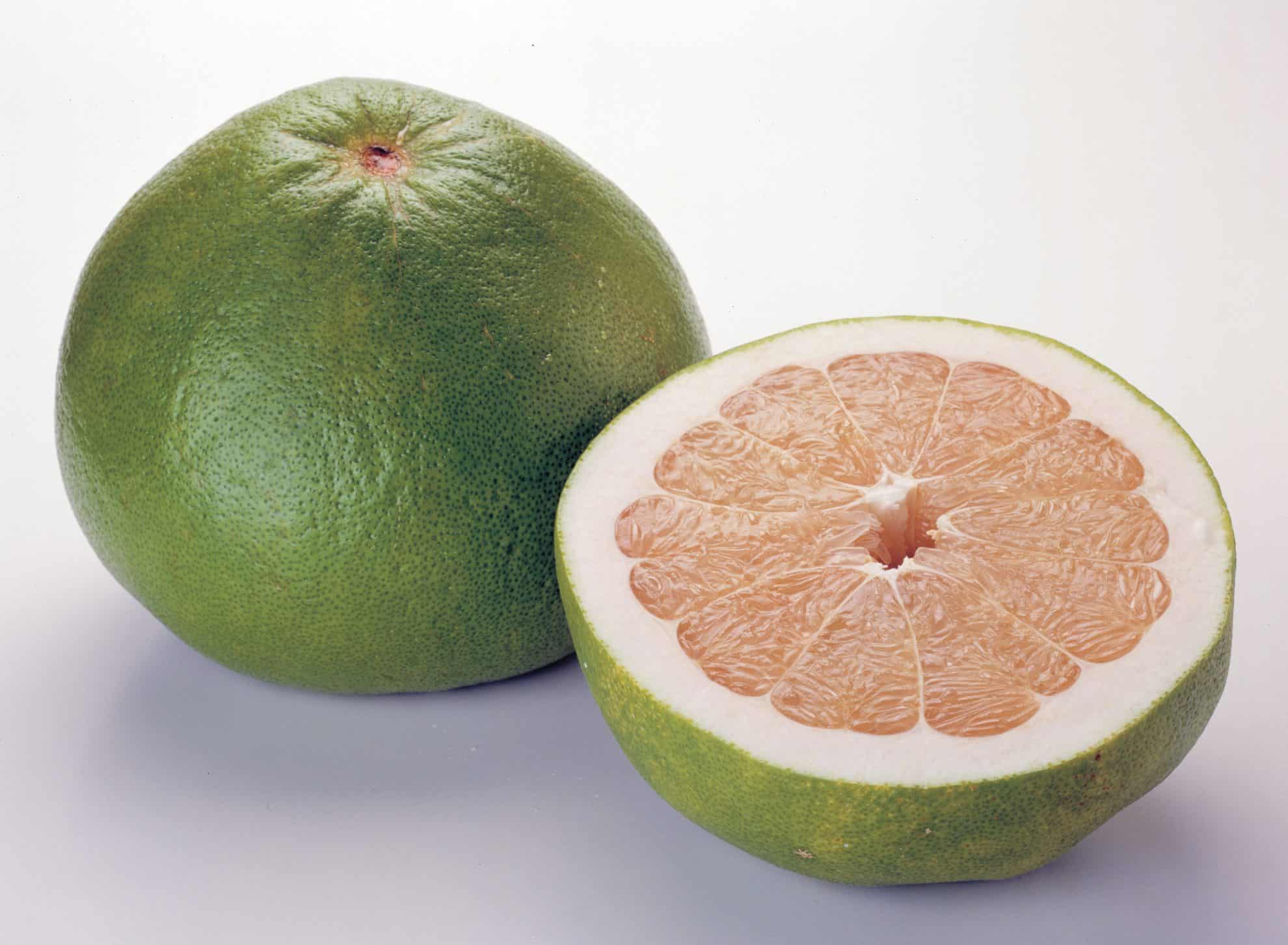 Grafted Pomelo - Pambalimas Fruit Plant.